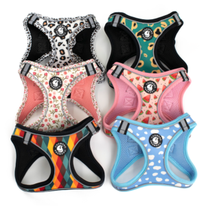 Dog Clothes Vest Harness Dog Walking Accessories Lead Fit Harness with Adjustable Neck Neoprene Harness Set
