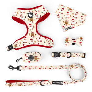 Personalized Adjustable Dog Harness Leash Set Christmas OEM Custom Print Neoprene Training Pet Harness Leash Collar Set for Dogs