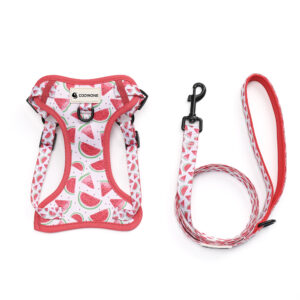 Custom Logo Cute Fashion Designer Pattern Adjustable Small Dog Harness Leash and Collar Set No Pull Dog Harness Set