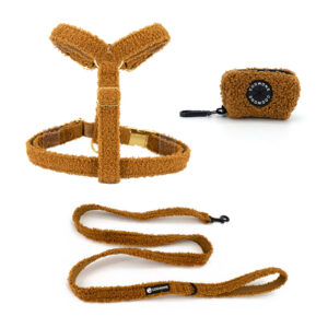 Custom Logo Cute Fashion Designer Pattern Adjustable Small Dog Harness Leash and Collar Set No Pull Dog Harness Set (复制)