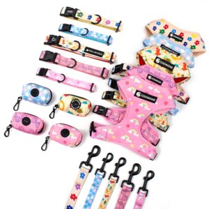 Ready to Ship Fancy Dog Harness and Leash Set With Pet Dog Collar and Leash OEM Custom Personality Pet Dog No Pull Harness Set
