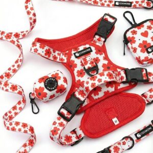 No Pull Dog Harness with Handle Adjustable Dog Pulling Harness Heavy Duty Dog Harness Dual Leash Attachment