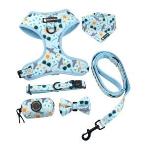 OEM Custom Pattern Design Luxury Dog Harness Pet Harness Set No Pull Durable Dog Leash Comfort Neoprene Padded Dog Harness Set