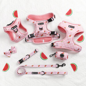 Solid Neoprene Fashion Dog Harness Set Soft Padded Dog Leash Poop Bag Holder Pet Supplies