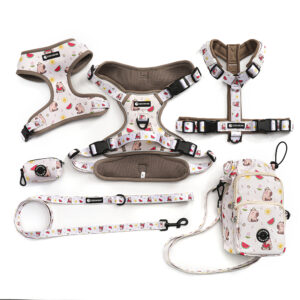 Pattern Design Luxury Pet Accessories Adjustable Dog Harness Set Soft Neoprene Puppy Walking Collar Leash Pet Harness Set