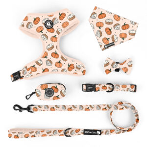 Neoprene Dog Harness Leash Personalized Adjustable Dog Collars and Leashes Custom Dog Harness Set