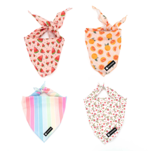 Adjustable Dog Harness Leash Bandana Set No Pull Padded Vest Printed Neck Scarf Low MOQ Custom Logo OEM Manufacturer