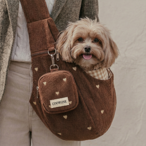 wholesale custom embroidery dog harness set | oem with walking bag | coowone