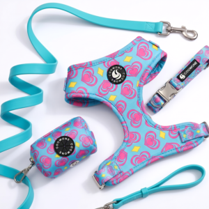 Custom LOGO Neoprene Dog Harness Leash Set Heart Print Step in Harness Vest Padded Soft Custom Pet Harness for Small Dogs
